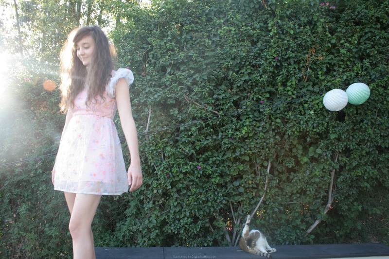 Голая спортивная девка позирует 12 фото Голая спортивная девка позирует 12 фото